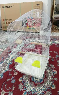 باسلام قفس کاملاً سالم