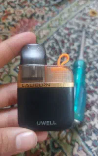پاد دائمی