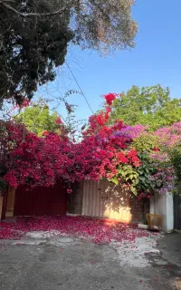 استخدام سرایدار