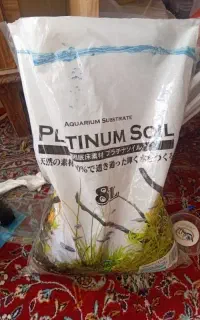 کودوخاکوبستر سویل پلانتیوم SOIL PLATINUM