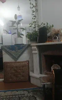 پرستار برای سالمند خانم