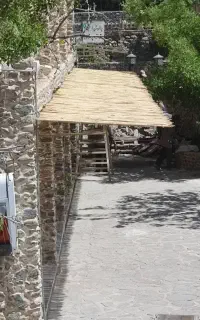 نی سایبان و شفت انگور