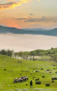 تور ۶ روزه شهریور شمال