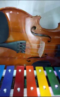 آموزش ویلن بلز کالیمبا سنتور مخصوص بانوان و کودکان