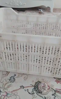 سبد گوجه فرنگی حدود  150 عدد