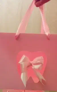 کیف دستی دندونی