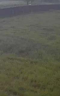 کشاورز