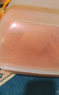 ظرف مسافرتی