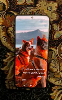 Poco x6 512