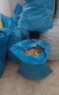 نان خشک