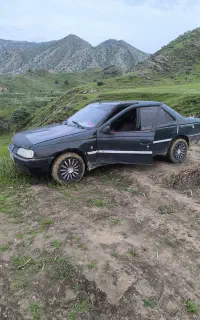پژوی اردی