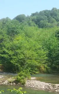 اجاره سوئیت ویلایی