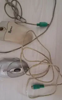 دو عدد موس