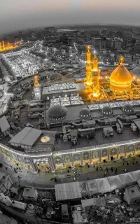 دعوت از همسفر برای سفر زیارتی کربلا با خودروی شخصی