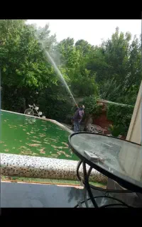 سم پاشی