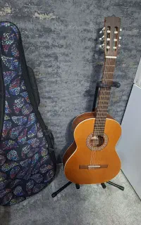 گیتار پارسی D6