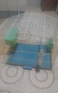 قفس پرنده