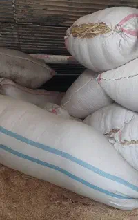 فروش هفتاد شلیف کاه گندم(انباری)