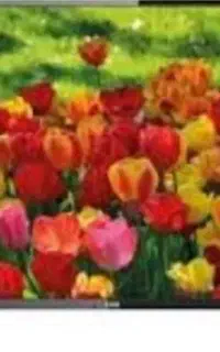 تلویزیون 32 اینچ ایکس ویژن نو