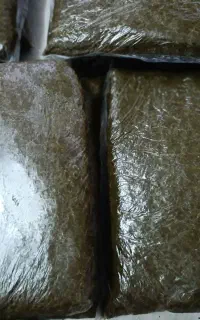 انواع سبزی ارگانیک خورشتی، کوکویی،آشی