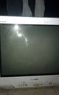 تلوزیون