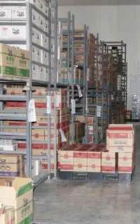 بازاریابی، ویزیتور