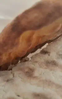 نان خشک