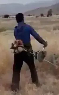 یونجه زن