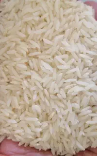 برنج طارم هاشمی اعلاء ارگانیک