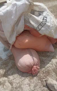کاه عدس و نخود