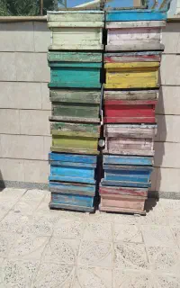 کندو عسل