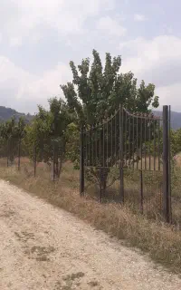 زمین ۴۷۰م شموشک جای دنج وزیبا/ مناسب خانه باغ