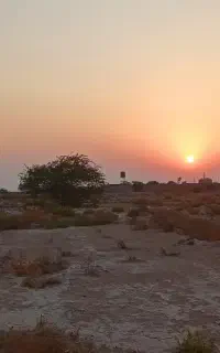 زمین ۸۰۰ متری کشاورزی گورک خیش اشکن
