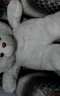 خرس بزرگ