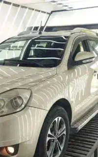 جیلی شاسی طلایی
