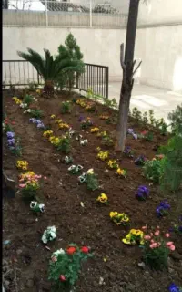خدمات باغبانی گلکاری هرسکار ی سمپاشی صفر تا صد