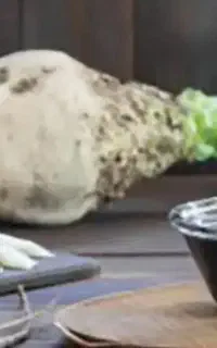 ملاس چغندر