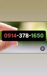 0914.378.1650              0914.378.0446