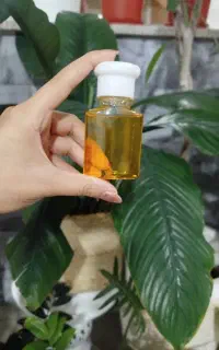 روغن ارگان اصلی و خالص