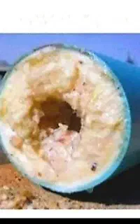 لوله بازکنی سراسرشهر (بافنرجداگانه)عضو اتحادیه