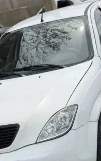 تیبا صندوقدار دور رنگ