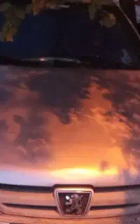 پژو پارس مدل 81 انژکتور داری برگ گم وکی