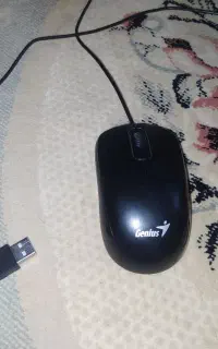 موس سالم