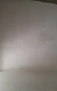 شاگرد گچکار