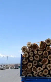 خریدار درخت باغی و چوب خشک سقفی با بالاترین قیمت