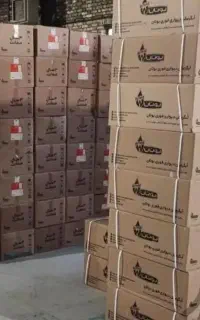 بوتان دیواری ابگرمکن توربو ۳۱۱۵