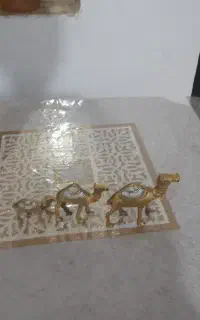 شتر تزیینی