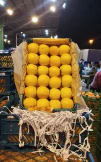 استخدام همکار آقا برای کار در مغازه میوه فروشی