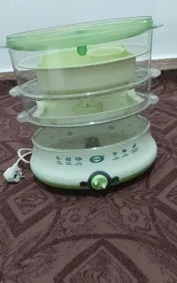 بخار پز
