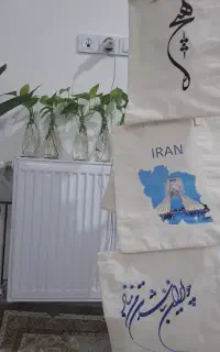 توت بگ